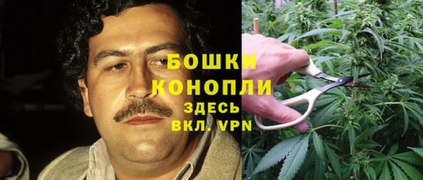 spice Сафоново